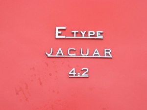 DSCN2541